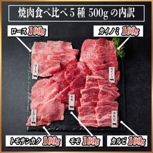 飛騨牛 焼肉厳選5種食べ比べセット(カルビ・トモサンカク・モモ・ロース・カイノミ)約500gタレ付き【配送不可地域：離島】【1532665】