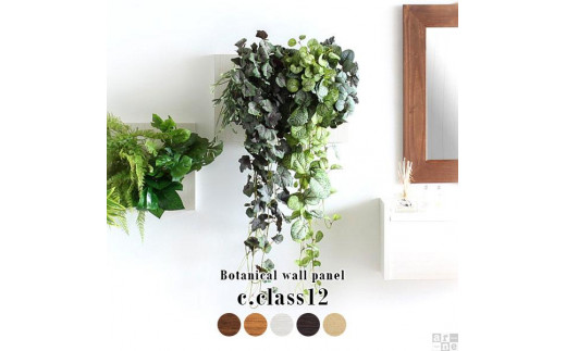 
Botanical c.class 12
