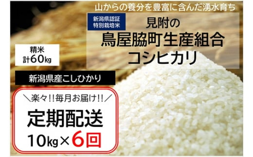 新潟 特別栽培米 令和6年産 コシヒカリ 「鳥屋脇町生産組合コシヒカリ」 精米 60kg ( 10kg×6ヶ月 ）定期便 精米 したてを お届け 新潟 のど真ん中 見附市 こしひかり 米 お米 白米 国産 ごはん ご飯 県認証米 安心安全