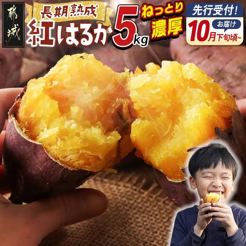【先行受付】都城産 長期熟成紅はるか 5kg≪2026年10月下旬頃より順次お届け≫_AA-I2-001-5kg-10_(都城市) 都城産さつまいも 熟成紅はるか 5kg 長期熟成 スイーツ