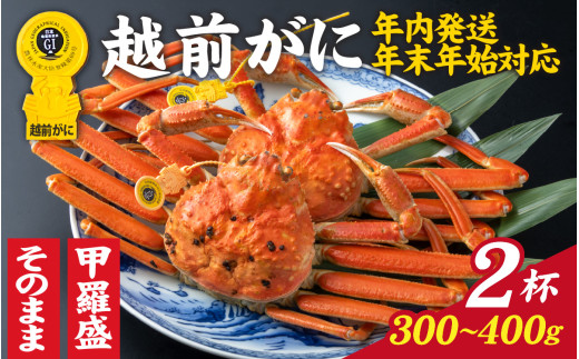 【先行予約】選べる！美味しさ直送【成前特選】越前かに（300～400g）×2杯【年内発送・年末年始対応】姿【E-028032_06】/ 正月 福井県 福井 オス 雄 ズワイガニ ボイル 冷蔵 越前ガニ 越前がに 越前カニ ずわいがに ずわい蟹 かに カニ 蟹 指定 茹で 姿 甲羅盛