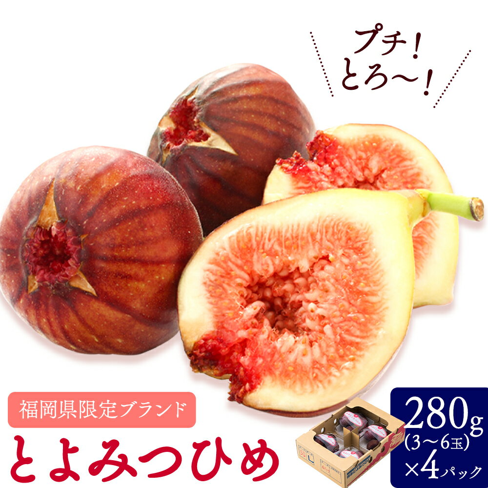 【ふるさと納税】いちじく 無花果 とよみつひめ 280g × 4パック JA全農ふくれん《8月中旬-10月中旬頃出荷》福岡県 鞍手町 福岡県産 いちじく フルーツ 果物