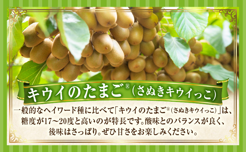 とれたて果物 2回定期便E 果物 フルーツ 果物定期便 フルーツ定期便 定期便 いちご キウイ濃厚 旬の果物 定期 人気 おすすめ 贈答 贈り物 青果物 糖度 香川県 _mk165-t055