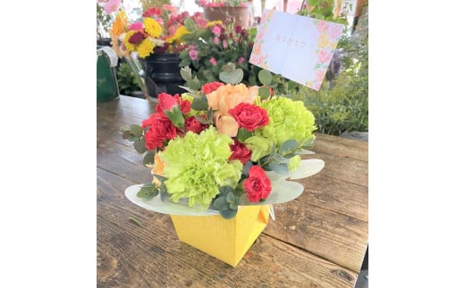 〈予約受付〉 【2026年 母の日】カーネーション アレンジメント　花瓶不要なので贈りやすい♪ ギフト 生花 プレゼント　H092-046