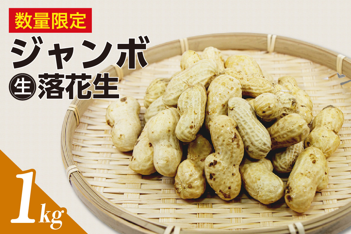 
                  ジャンボ生落花生 1kg
                
