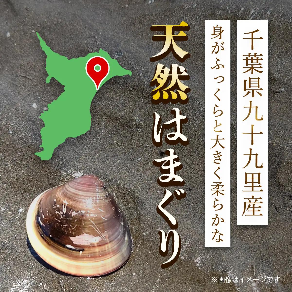 天然はまぐり 1kg 九十九里産 新鮮はまぐりを真空冷凍！SMAJ015  千葉県 山武市 はまぐり ハマグリ 蛤
