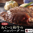 【ふるさと納税】和牛 × アグー豚 入り ハンバーグ 10個 入り 真空パック 沖縄県産 牛肉 豚肉 あぐー豚 幻の豚 冷凍 小分け 120g ×10個 大容量 牛肉ハンバーグ 豚肉ハンバーグ 大きめ 合挽き 肉 加工食品 鉄板焼き 簡単調理 子供 お肉 専門店 牛庵 沖縄 糸満市10000円