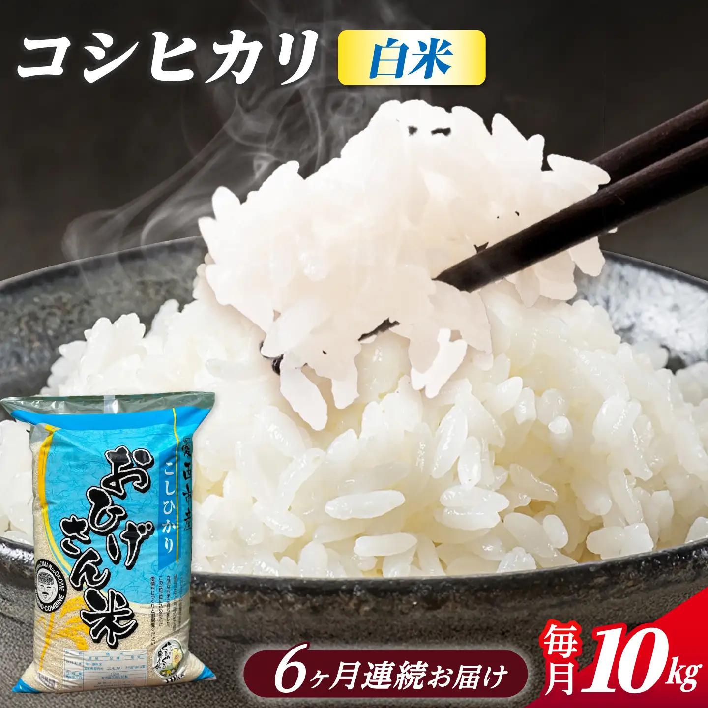 【6回定期便】コシヒカリ 白米 10kg×6か月 / 脇野コンバイン[AECP028]