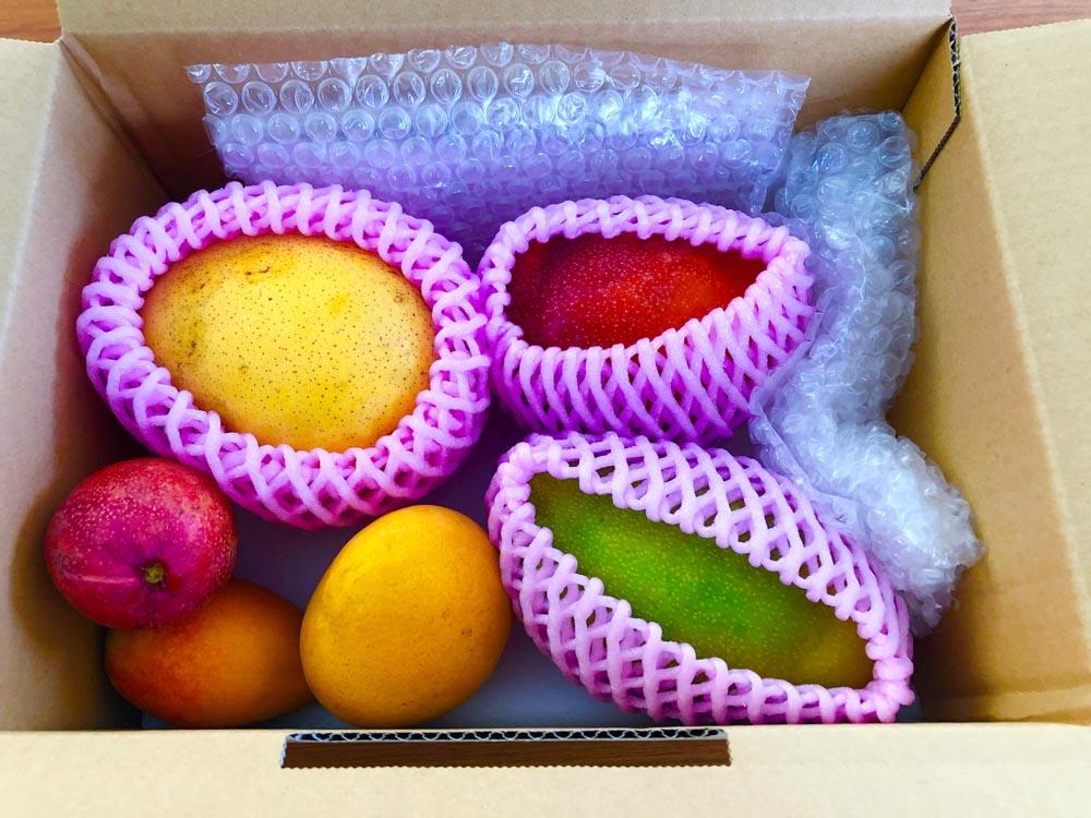 ★2025年発送分★紀州完熟マンゴー『吉玉』【ご家庭用訳ありマンゴー1.5kg】