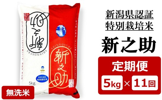 【令和8年産新米・11ヶ月定期便】特別栽培米 新之助 無洗米 5kg×11回（計 55kg）ファーミング・スタッフ 新潟県産[Y0631]