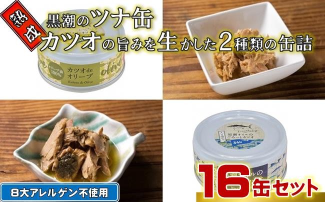 
            熟成 黒潮 ツナ缶 2種類 缶詰 16缶 セット 鰹 かつお ツナ缶詰 防災 災害 備蓄 非常食 おかず プレゼント ギフト ツナ 魚 魚介類 日常食 アレンジ 惣菜 サラダ 副菜 ふるさと納税缶詰 ふるさと納税防災 ［1117］
          
