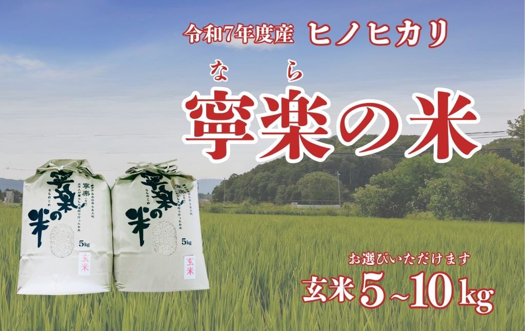 
                  令和7年産 ヒノヒカリ 玄米 5～10kg 寧楽の米 数量限定 ひのひかり ご飯 ごはん 米 お米 おにぎり 国産 送料無料 農家直送 とも農園 奈良県 奈良市 なら
                