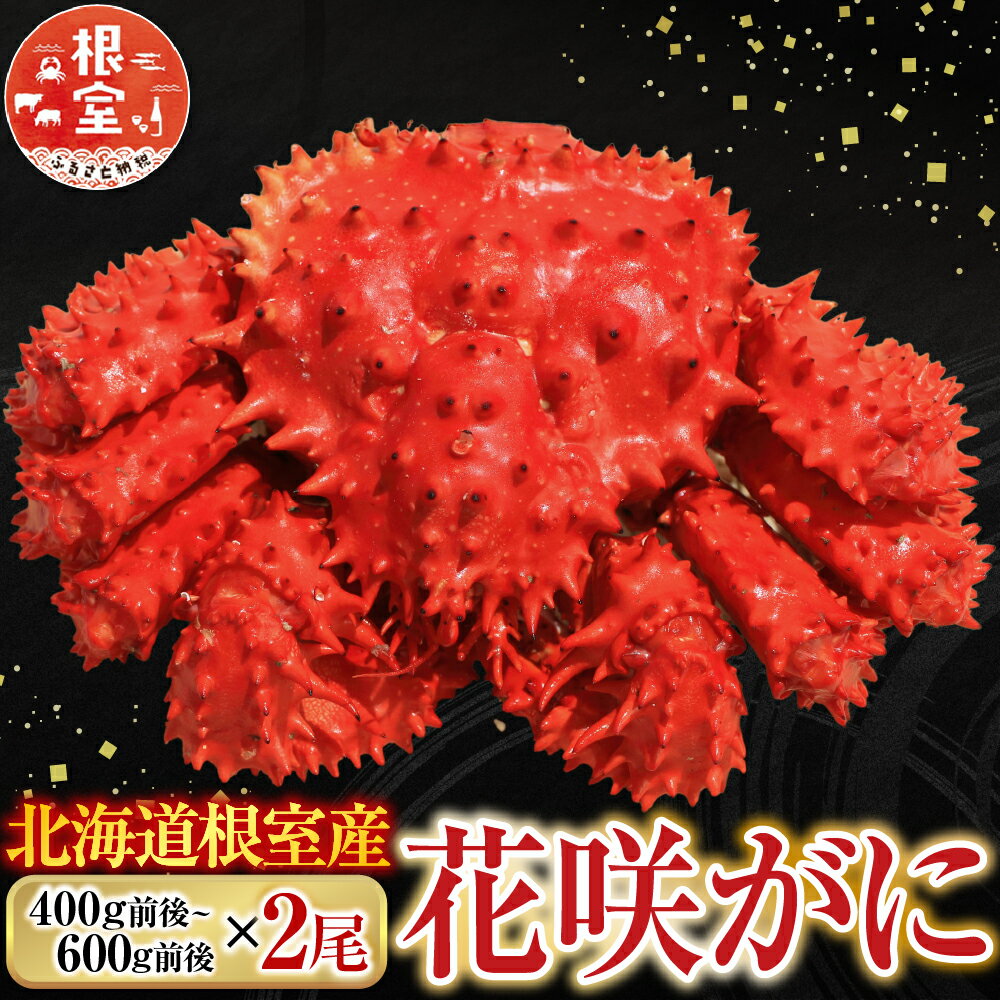 【ふるさと納税】 [北海道根室産] 花咲かに 400g 前後 ~ 600g 前後 × 2 尾 花咲がに 花咲 花咲ガニ 花咲蟹 かに カニ 蟹 お取り寄せ グルメ 海鮮 ボイル 茹で蟹 茹でがに 茹でガニ 北海道 根室市 ふるさと納税 A-76032