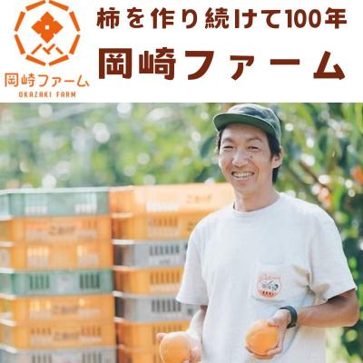 ふるさと納税 八頭町 樹齢100年の古木から採れる花御所柿(2.5kg) |  | 03