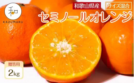 贈答用 森本農園の手選別 厳選セミノールオレンジ 約2kg 和歌山県産 サイズ混合 ［北海道・沖縄・離島配送不可］［2026年4月中旬から順次発送］［RN110］