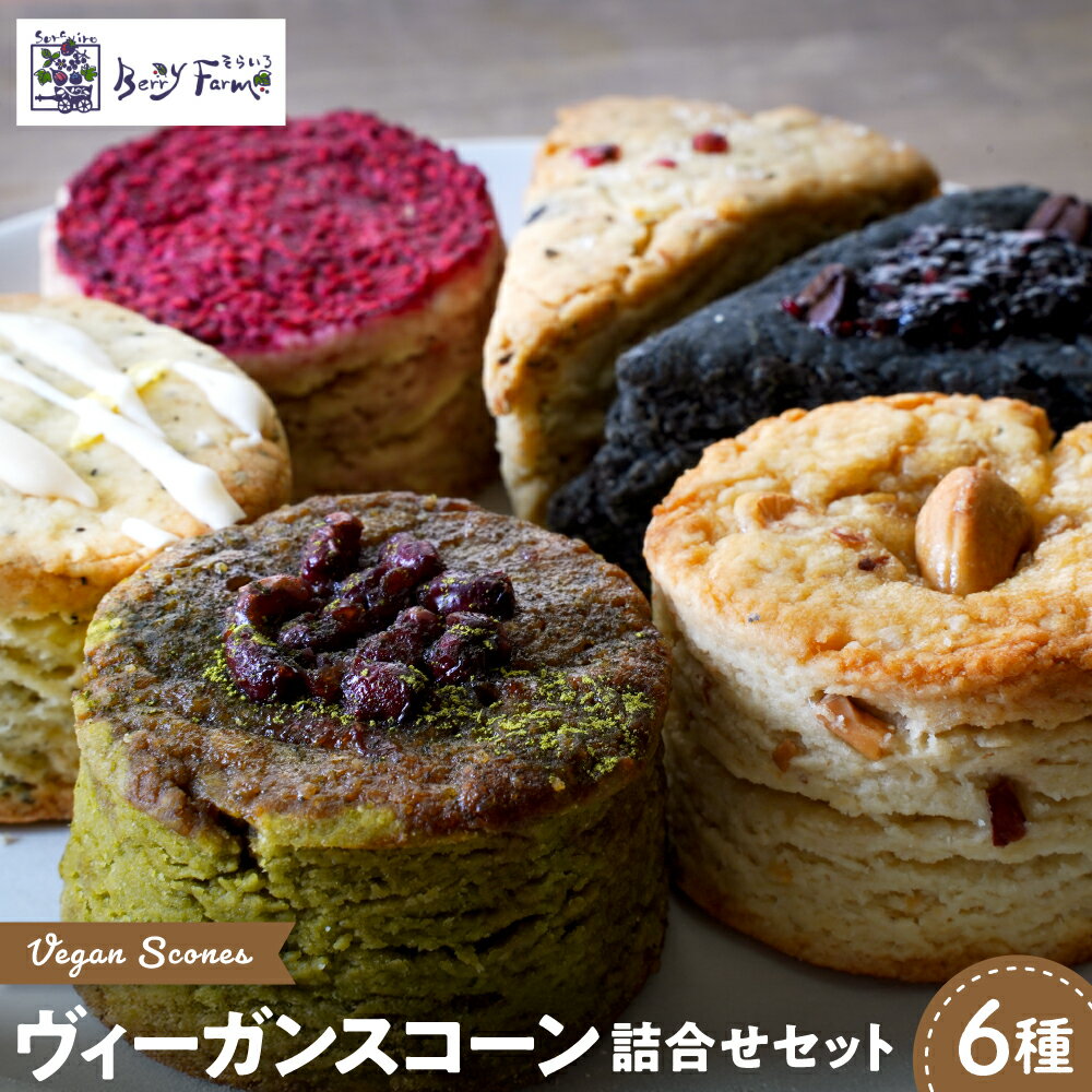 【ふるさと納税】 ヴィーガン スコーン 6種類 詰合せ セット | お菓子 おやつ スイーツ パン 朝食 ティータイム 便利 グルメ 食品 焼菓子食べ比べ セット 詰め合わせ 取り寄せ 送料無料 山形県 東根市