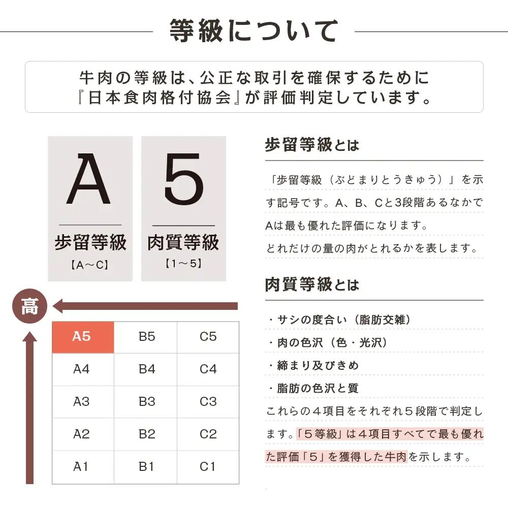 【特撰定期便 全4回】A5等級鹿児島黒毛和牛定期便 A5 A5等級 ステーキ サーロイン 赤身 ヒレ バラ 焼肉 BBQ ブロック肉 ロース肉 すき焼き しゃぶしゃぶ お肉 鹿児島県産 カミチク 黒毛