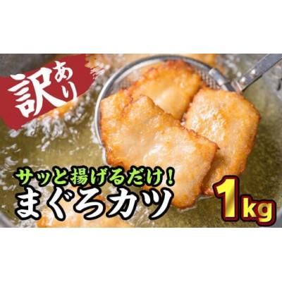 ふるさと納税 尾鷲市 【毎月定期便】訳あり サクサクまぐろカツ 大満足1kg セット全3回