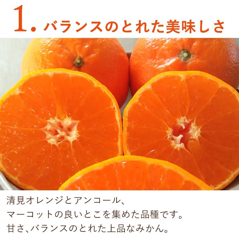 『先行予約』【令和9年1月下旬発送】麗紅(れいこう）ハウス栽培 唐津産 5kg 混合サイズ みかん 蜜柑 柑橘 果物 フルーツ