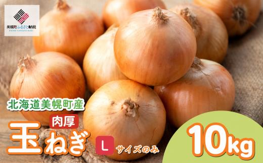 【2026年10月上旬以降発送】 美幌産 玉ねぎ Lサイズ 10kg 令和8年度産 / タマネギ たまねぎ 玉ネギ 玉葱 オニオン スライス サラダ 野菜 スープ 肉じゃが 煮物 ハンバーグ すりおろし 甘い カレー BBQ バーベキュー 新鮮 旬 国産 訳あり 北海道 美幌町 先行予約 送料無料 数量限定
