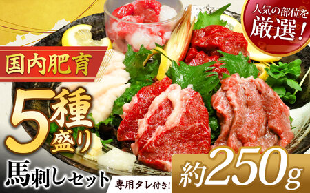 本場 熊本 馬刺し 豪華 5種盛り約250g（50g×5P）専用タレ付き | 馬肉 馬刺 赤身 霜降り フタエゴ 馬ひも コーネ 小分け 