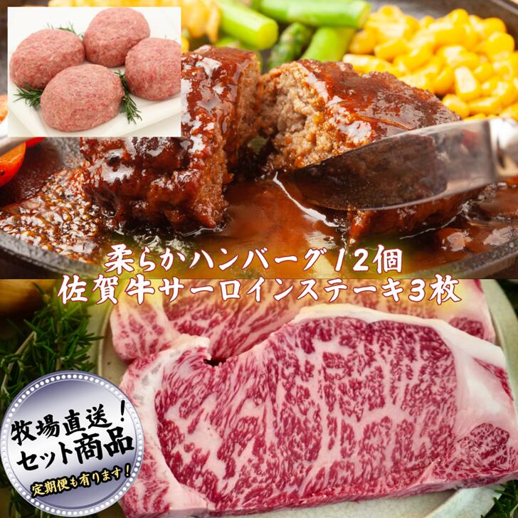 【ふるさと納税】佐賀県産牛ハンバーグ12個と佐賀牛サーロインステーキ(200g×3枚)の贅沢セット！ 柔らか ハンバーグ ステーキ【定期便も選択可能】：B400-008