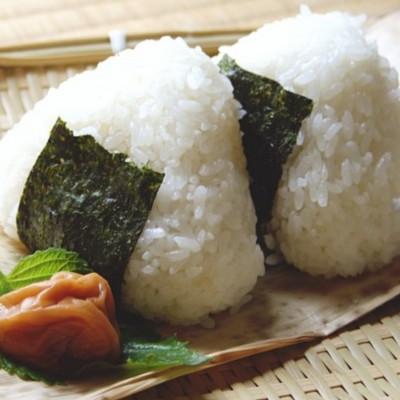 ふるさと納税 広川町 【毎月定期便】福岡有明のり　訳あり!　味付海苔　6袋セット　20g×6袋(広川町)全3回 |  | 02