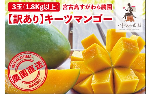 《2026年発送》宮古島すがわら農園 【訳あり】 キーツマンゴー 3玉（FR013）
