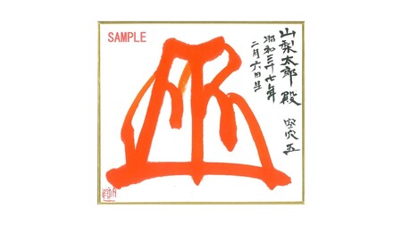 武田流花押