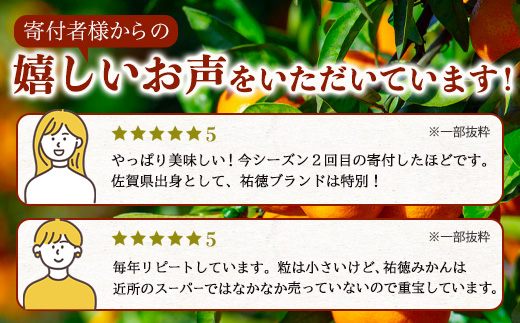 温州みかん 祐徳みかん 約3kg 化粧箱入り 希少 数量限定 《10月下旬～12月頃発送予定》| ブランド 温州みかん 希少 佐賀県 鹿島市 B-100