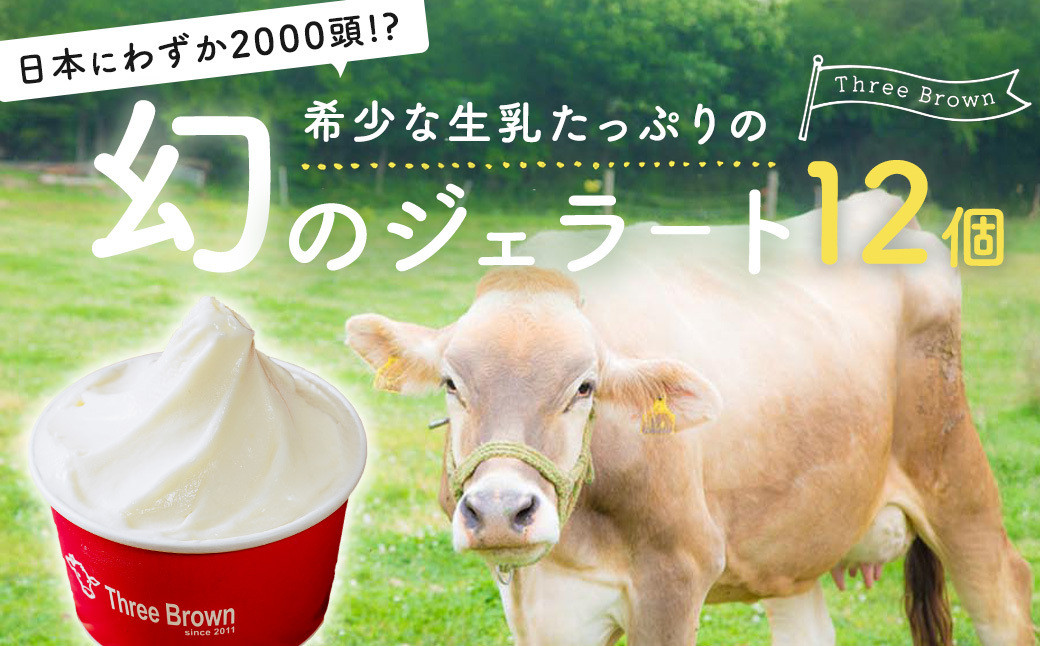 
            アイス 幻の牛の生乳から作る 無添加ジェラート 12個 ｜ジェラート 無添加 ミルク いちご ブルーベリー 旬の味 お任せフレーバー 旬 生乳 高級 美味しい 人気 リッチ 極上 乳製品 新鮮 定番 なめらか 自然 アイス 冷たい ミルク デザート おやつ 贈り物 贈答 食後 口直し
          