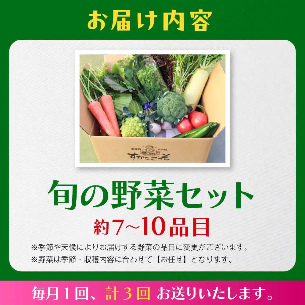 【全3回定期便】よこすか野菜セット すかなボックス／野菜 旬 セット  【JAよこすか葉山】[ASCB002]