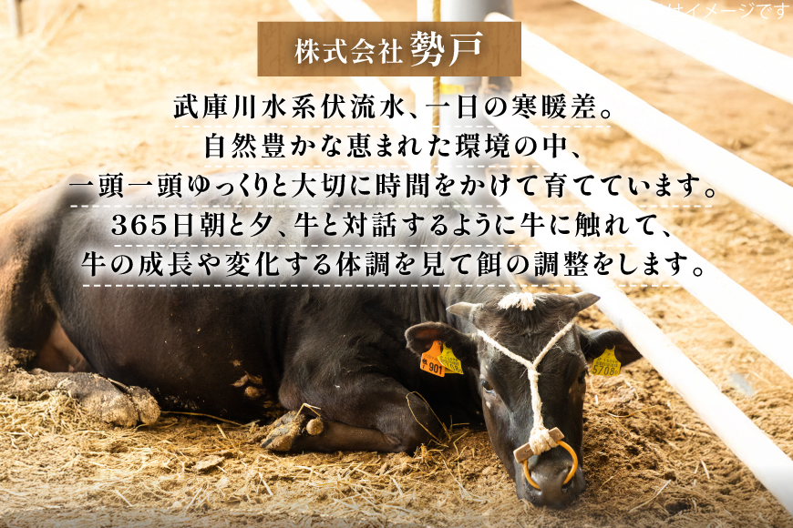 三田 マルセ牛 焼しゃぶ 500g [勢戸 兵庫県 三田市 3d28bae610046] 牛肉 肉 焼きしゃぶ 三田牛 三田マルセ牛