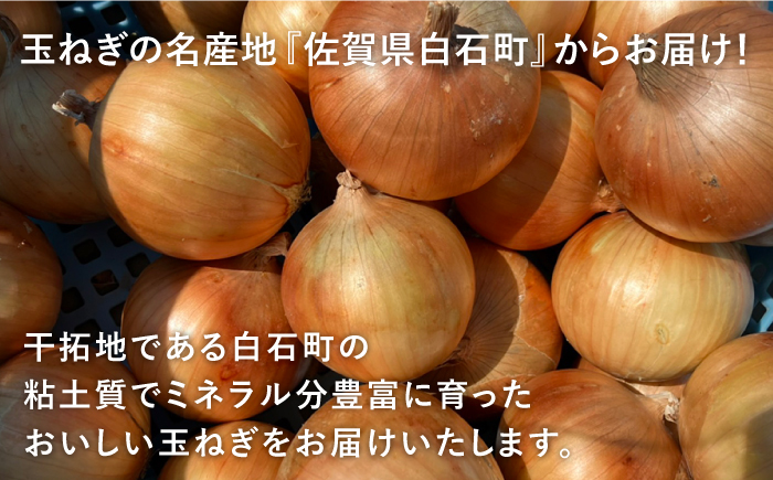 【先行予約】【農家直送！】こだわり 白石玉ねぎ 10kg【れんこんの家やました】 [IAW009]