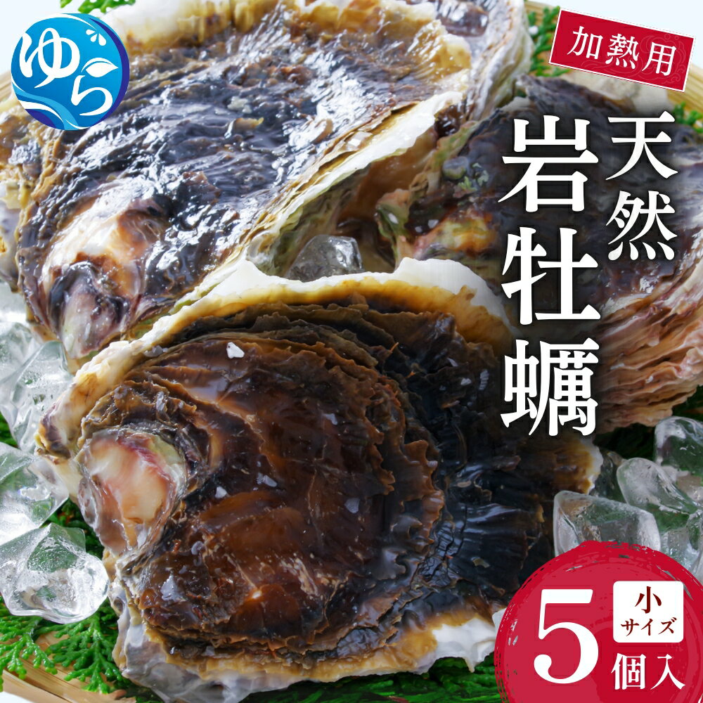 【ふるさと納税】天然岩牡蠣（加熱食用）小サイズ5個入　 | カキ 岩ガキ 加熱用 魚介類 水産 食品 海産物 和歌山県 由良町 送料無料 人気 おすすめ 送料無料