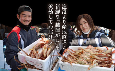 訳あり【11月発送】越前がに本場の越前町からお届け！浜茹で越前かに 小サイズ（生で400～600g） × 1杯  [e43-x001_11] カニ かに 越前がに 越前ズワイガニ 越前かに 越前カニ 