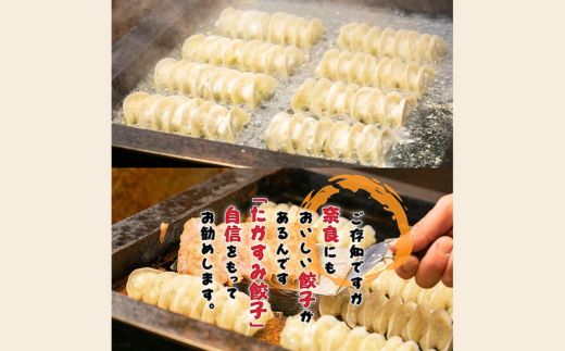 たかすみ 冷凍生餃子96個