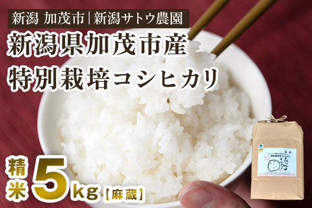 【令和7年産米】化学肥料不使用の従来コシヒカリ【麻蔵5kg】特別栽培 有機肥料で育った厳選米 加茂市 新潟サトウ農園