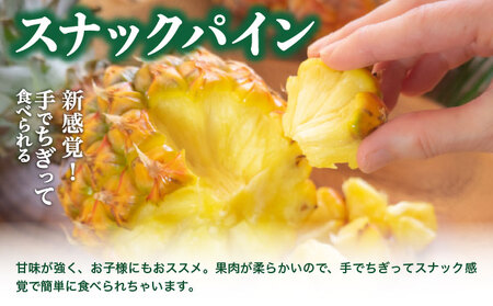 リピート率No.1！パイナップル4種類＆マンゴー＆生ジュースを5回にわけて毎月お届け！