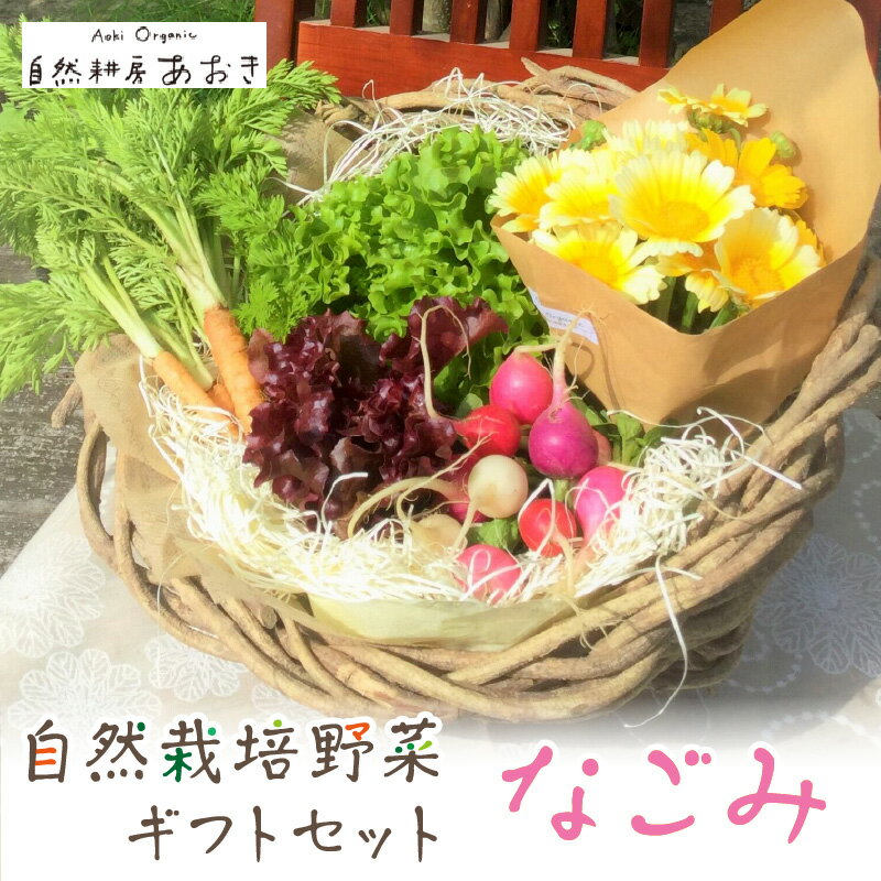 【ふるさと納税】【数量限定】自然栽培野菜ギフトセット（なごみ） 5〜7種 2〜3人用 ふるさと納税 野菜 自然栽培 旬野菜 季節 セット 詰め合わせ ギフト 百貨店 ホテル 栽培期間中 農薬 化学肥料 京都 産地直送 やさい 野菜セット 野菜ギフト おすすめ 美味しい