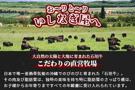 【全2回 定期便E】 石垣牛 ステーキ＆焼肉特盛セット・すきしゃぶ800g＆焼肉特盛セット　計3.2kg（いしなぎ屋）【 特選肉 肉 高級 黒毛和牛 和牛 牛 ステーキ しゃぶしゃぶ 焼肉 】AB-3