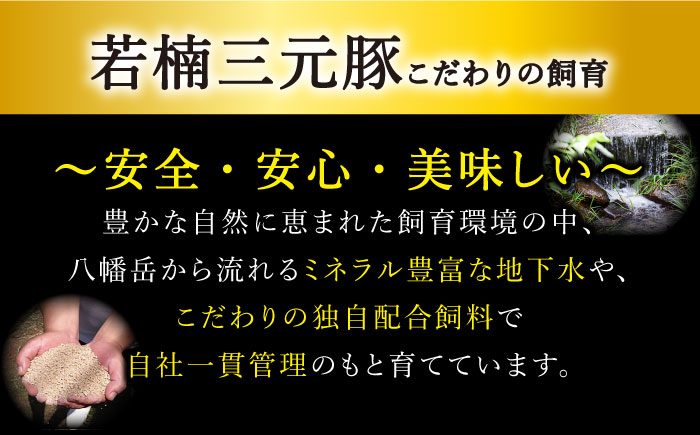 【3回定期便】若楠三元豚 切り落とし 1kg（250g×4パック）/ナチュラルフーズ [UBH074]