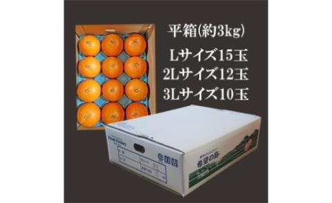 甘平(かんぺい) 家庭用 約3kg 【2026年2月中旬から発送予定】愛媛 中島産 おすすめ人気  愛媛県産 みかん 柑橘 希望の島