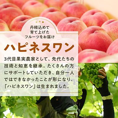ふるさと納税 甲州市 シャインマスカットスパークリングワイン　〜雫(Larme)〜 |  | 03