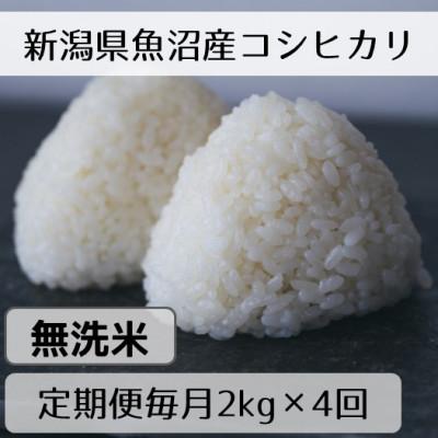 ふるさと納税 十日町市 【毎月定期便】新潟県魚沼産コシヒカリ「山清水米」無洗米2kg全4回