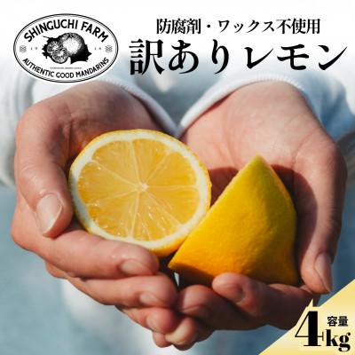 ふるさと納税 八幡浜市 【太陽の恵みをギュッと凝縮】訳あり 愛媛レモン4kg 防腐剤・ワックス不使用【C70-74】