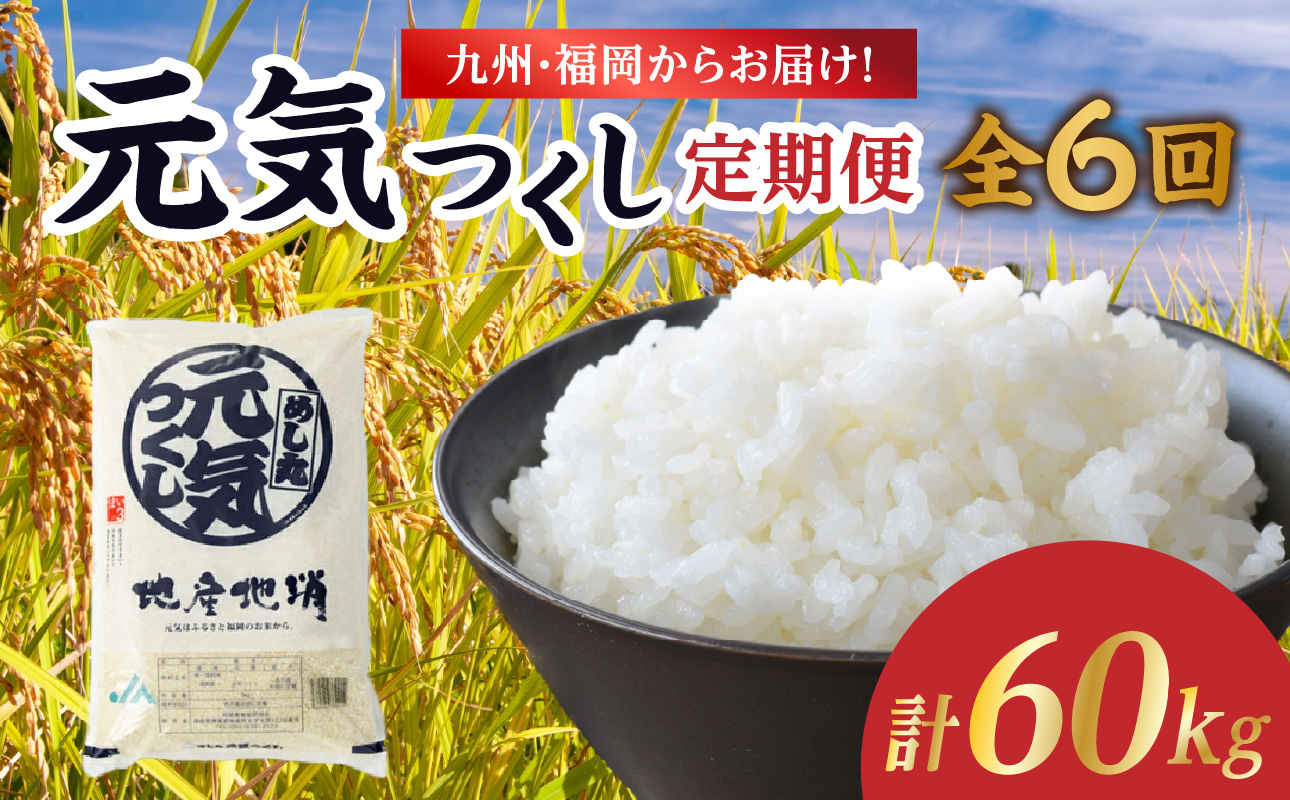 九州・福岡からお届け！ブランド米「元気つくし」定期便 10kg(5㎏×2)【全6回】 お米 米 コメ 白米 特A 直送 お弁当 おにぎり 炊きたて ツヤ 粘り もちもち 弾力 卵かけご飯 福岡県 八女市