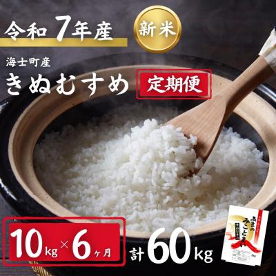 ふるさと納税 海士町 【定期便6ヵ月】計60kg!令和7年度新米きぬむすめ 10kg×6か月定期便 お米 新米 精米 白米