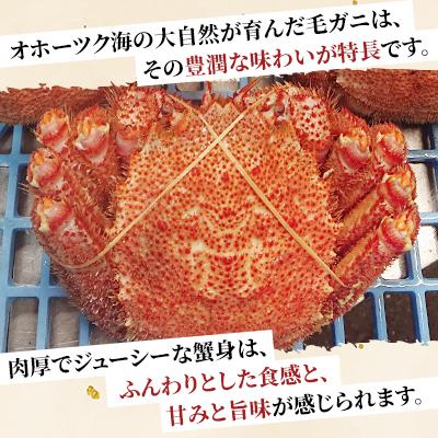 ふるさと納税 北見市 オホーツク海産　浜茹で毛ガニ　約420g〜480g×1杯 |  | 01
