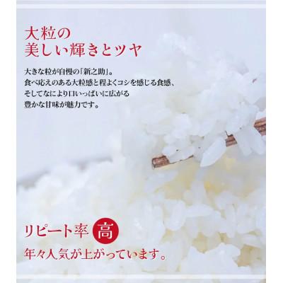 ふるさと納税 刈羽村 【新潟ブランド米】【精米】刈羽村産新之助 5kg |  | 01